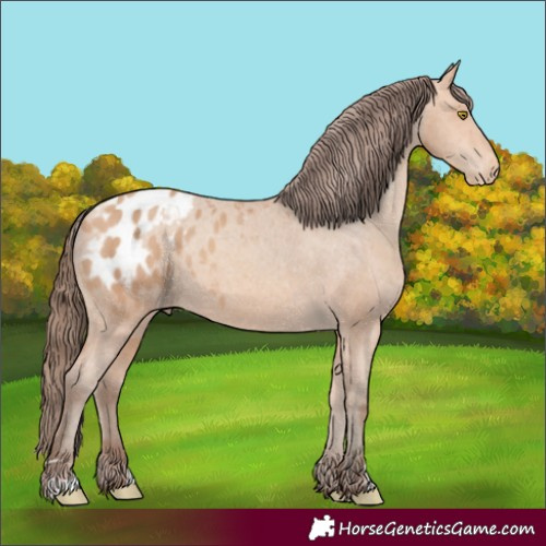 Horse Color:Amber Champagne Blanket