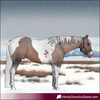 Horse Color:Silver Brown Tobiano Varnish