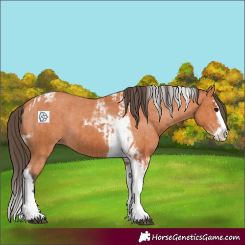 Horse Color:Bay Splash Tobiano Varnish  and Bay Splash Tobiano Varnish 