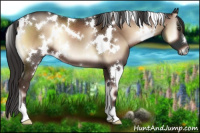 Horse Color:White Spotted Liver Red Onyx 