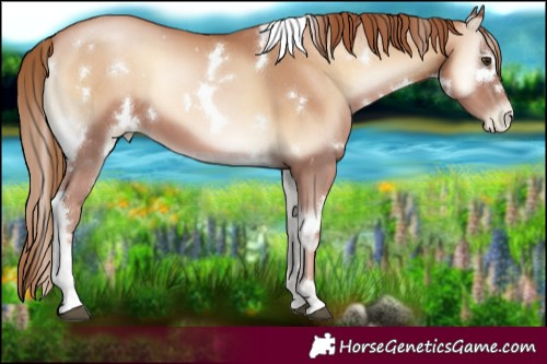 Horse Color:White Spotted Red Onyx Pearl 