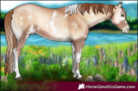 Horse Color:White Spotted Red Onyx Pearl 