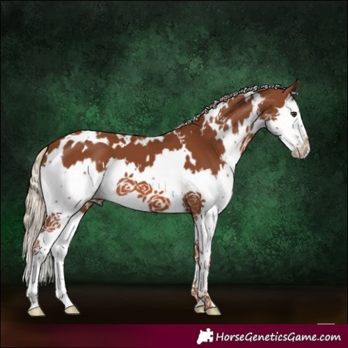 Horse Color:White Spotted Chestnut Splash