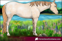 Horse Color:White Spotted Buckskin Roan Pearl 