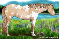 Horse Color:White Spotted Bay Pearl
