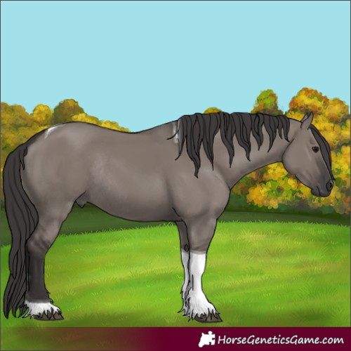 Horse Color:Smoky Grullo Tobiano Rabicano