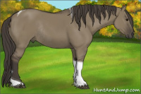 Horse Color:Smoky Grullo Tobiano Rabicano 
