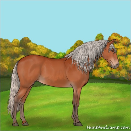 Horse Color:Silver Brown