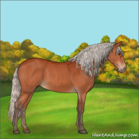 Horse Color:Silver Brown 