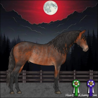 Horse Color:Bay Rabicano