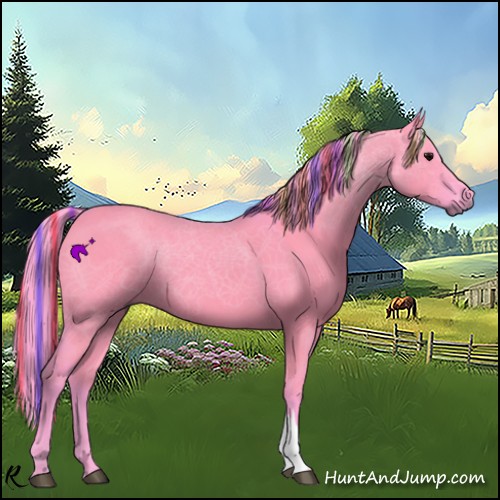 Horse Color:Painted Watercolor Grullo 