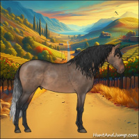 Horse Color:Brown Dun 