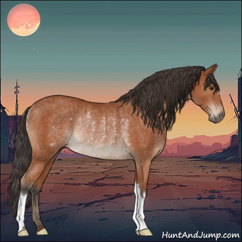 Horse Color:Bay Rabicano