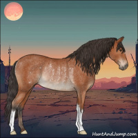 Horse Color:Bay Rabicano 