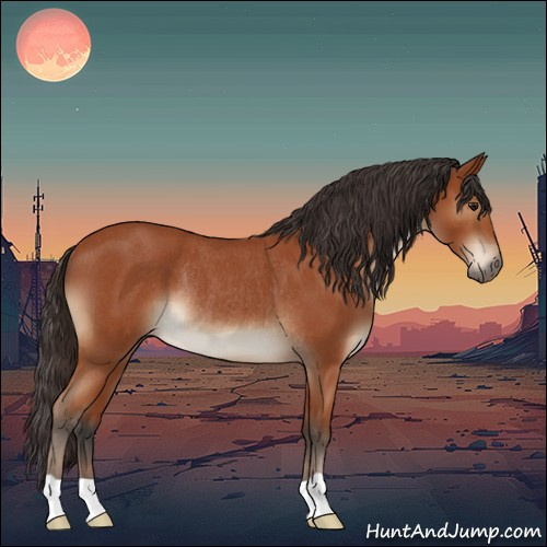 Horse Color:Brown Roan Rabicano