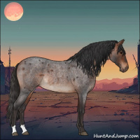 Horse Color:Bay Roan Rabicano
