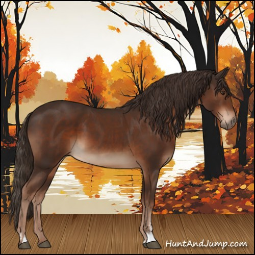 Horse Color:Liver Chestnut Sabino