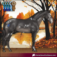 Horse Color:White Spotted Smoky Black Sabino 