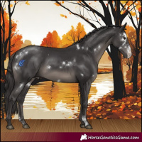 Horse Color:White Spotted Smoky Black Sabino 
