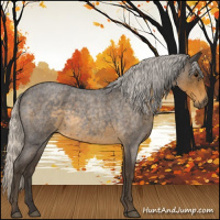 Horse Color:Silver Smoky Blue Roan Sabino Rabicano 