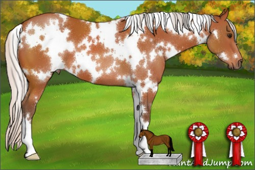 Horse Color:White Spotted Silver Bay 