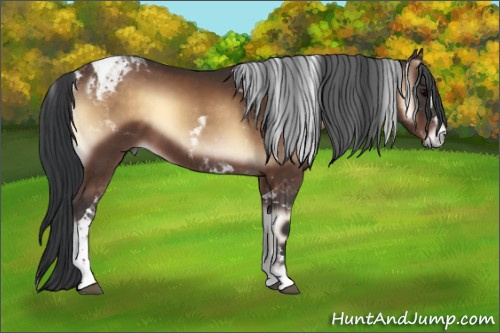Horse Color:Brown Onyx Tobiano 