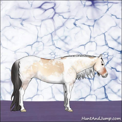 Horse Color:Bay Onyx Tobiano 