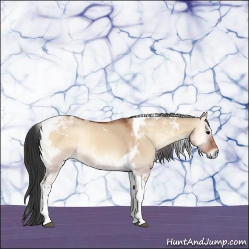 Horse Color:Bay Onyx Tobiano 