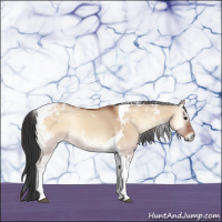 Horse Color:Bay Onyx Tobiano 