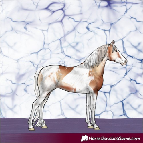 Horse Color:Silver Bay Onyx Splash Tobiano 