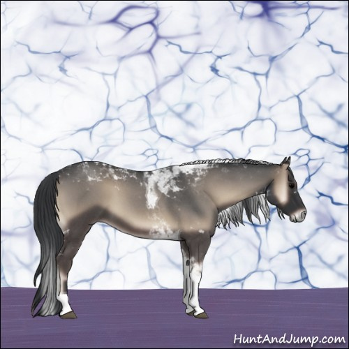 Horse Color:Blue Onyx Roan Tobiano