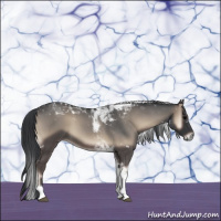 Horse Color:Blue Onyx Roan Tobiano 