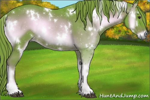 Horse Color:Watercolor White Spotted Liver Red Onyx Rabicano 