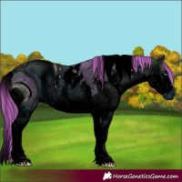 Horse Color:ERROR: UNKNOWN ANOMALY