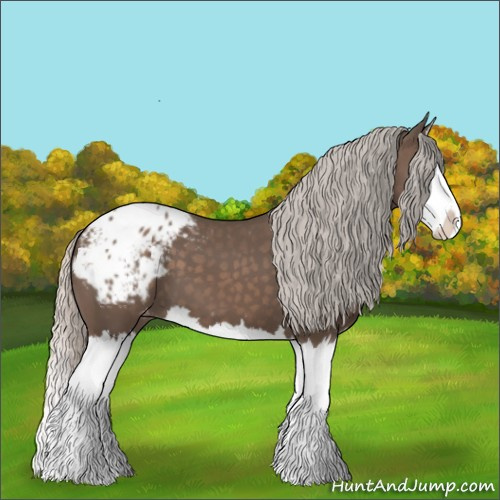 Horse Color:Silver Black Splash Appaloosa