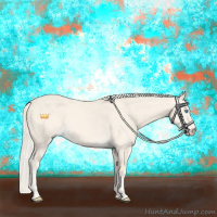 Horse Color:Cremello Dun 