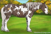 Horse Color:White Spotted Silver Black Sabino 