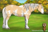 Horse Color:White Spotted Silver Buckskin Dun Sabino 