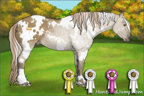 Horse Color:White Spotted Chocolate Palomino Dun 