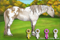 Horse Color:White Spotted Chocolate Palomino Dun 