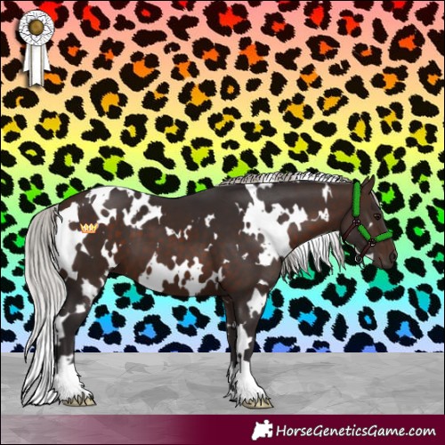 Horse Color:White Spotted Silver Brown 