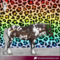 Horse Color:White Spotted Silver Brown