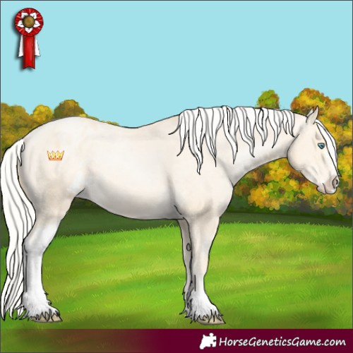 Horse Color:Silver Buckskin Pearl Sabino Varnish