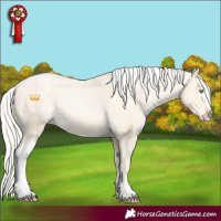 Horse Color:Silver Buckskin Pearl Sabino Varnish 