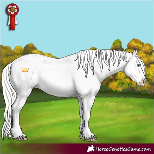 Horse Color:White Spotted Silver Perlino Appaloosa 