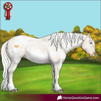 Horse Color:White Spotted Silver Perlino Appaloosa 