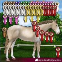 Horse Color:Smoky Black Pearl Sabino Rabicano 