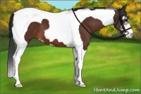 Horse Color:Bay Sabino Tobiano