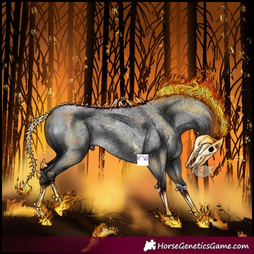 Horse Color:Blue Roan Tobiano 