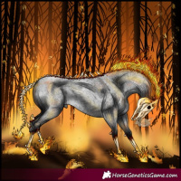 Horse Color:Blue Roan Tobiano
